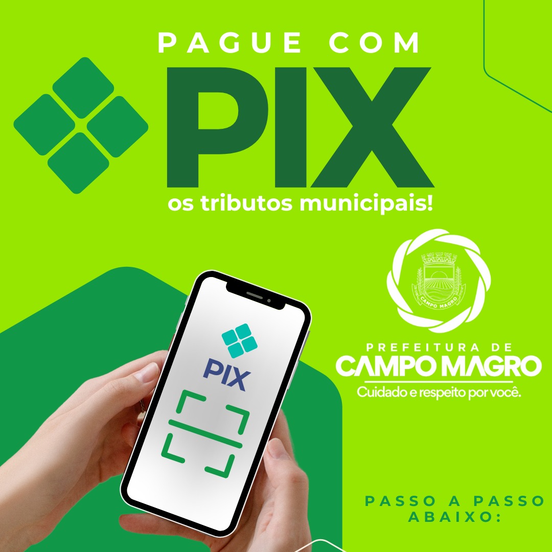 Pix Logo