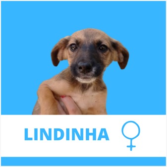 Foto do Lindinha